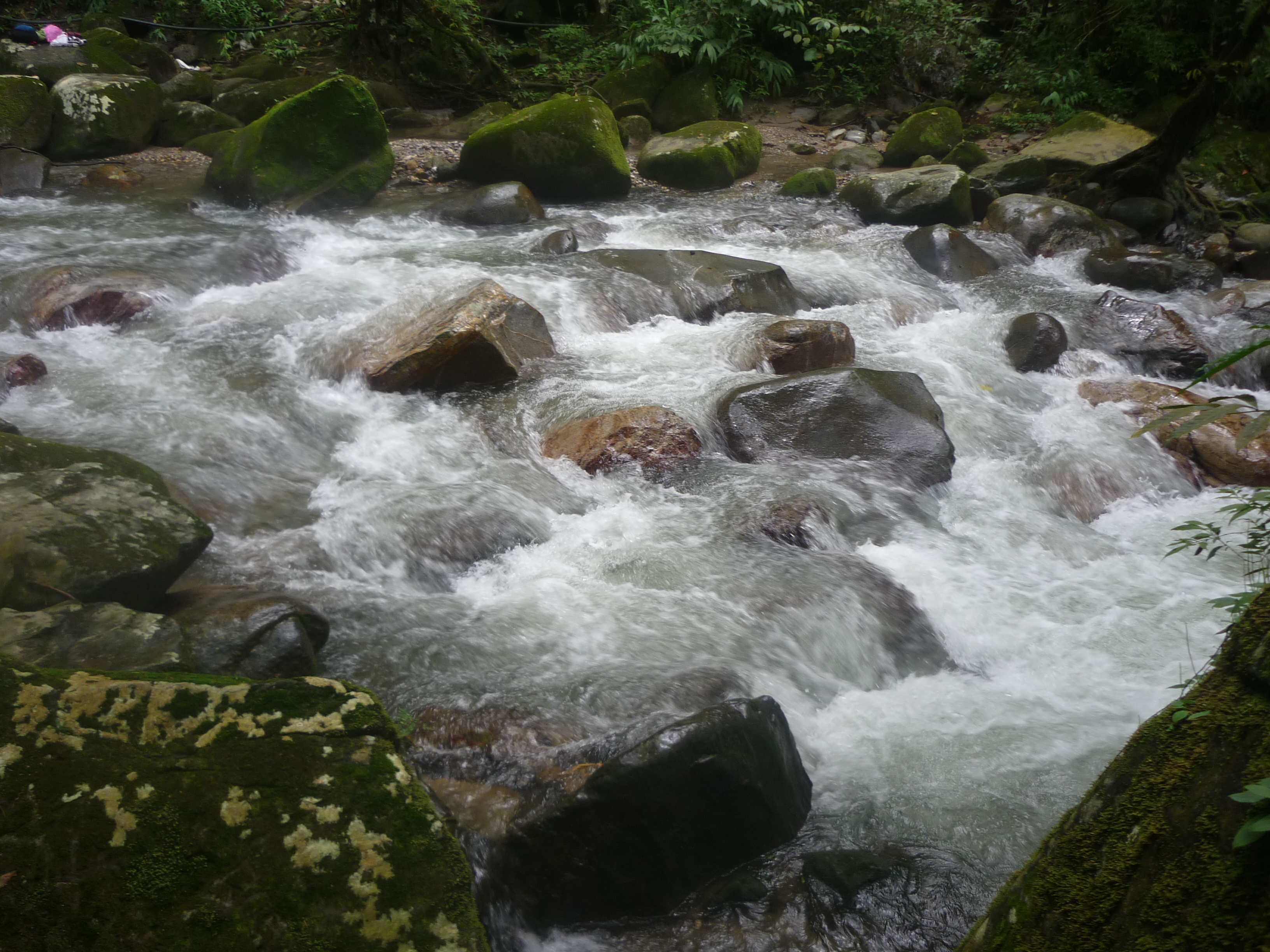 Río y vegetación en la zona de Santa Marta