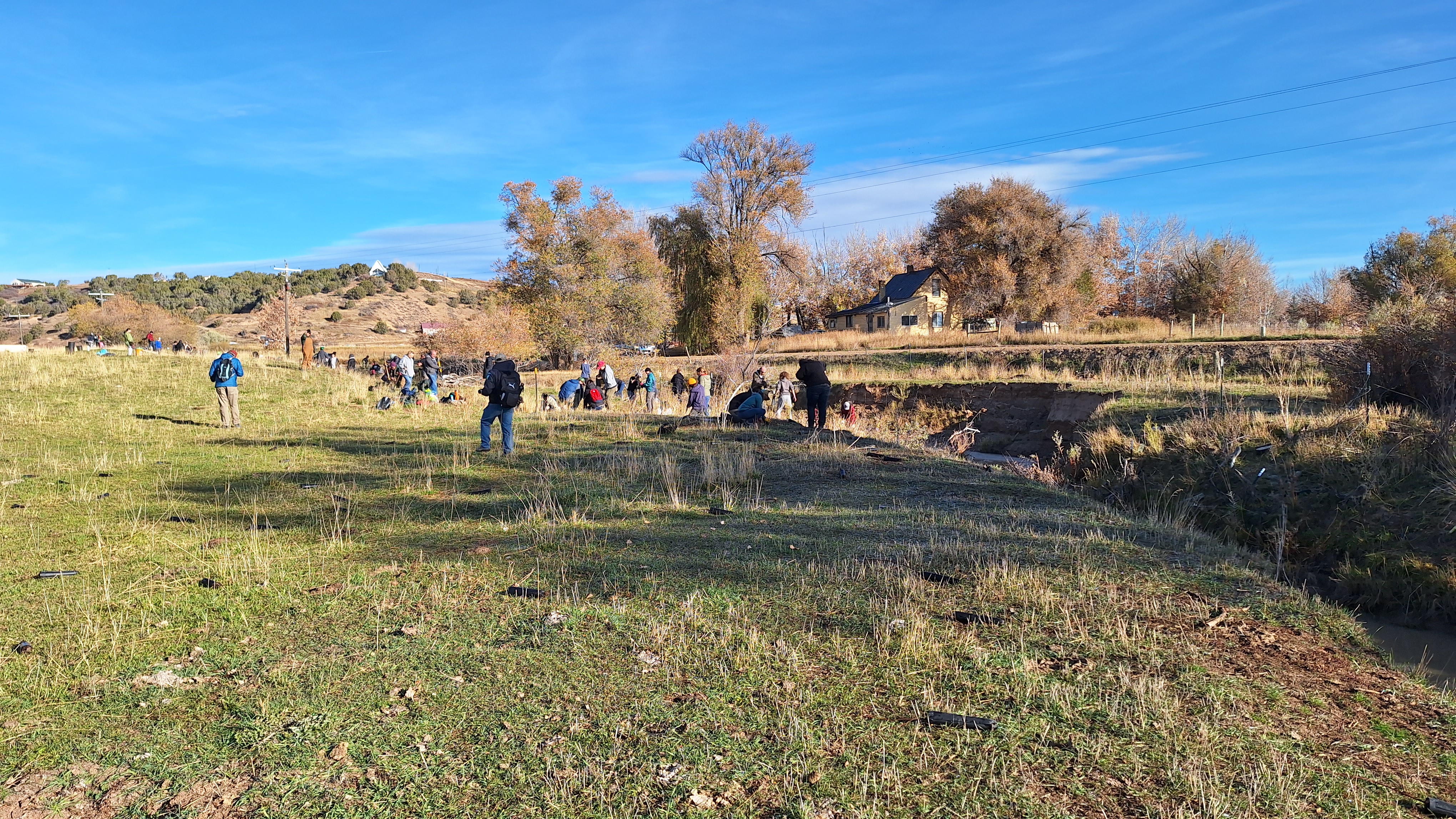 Voluntariado ambiental
